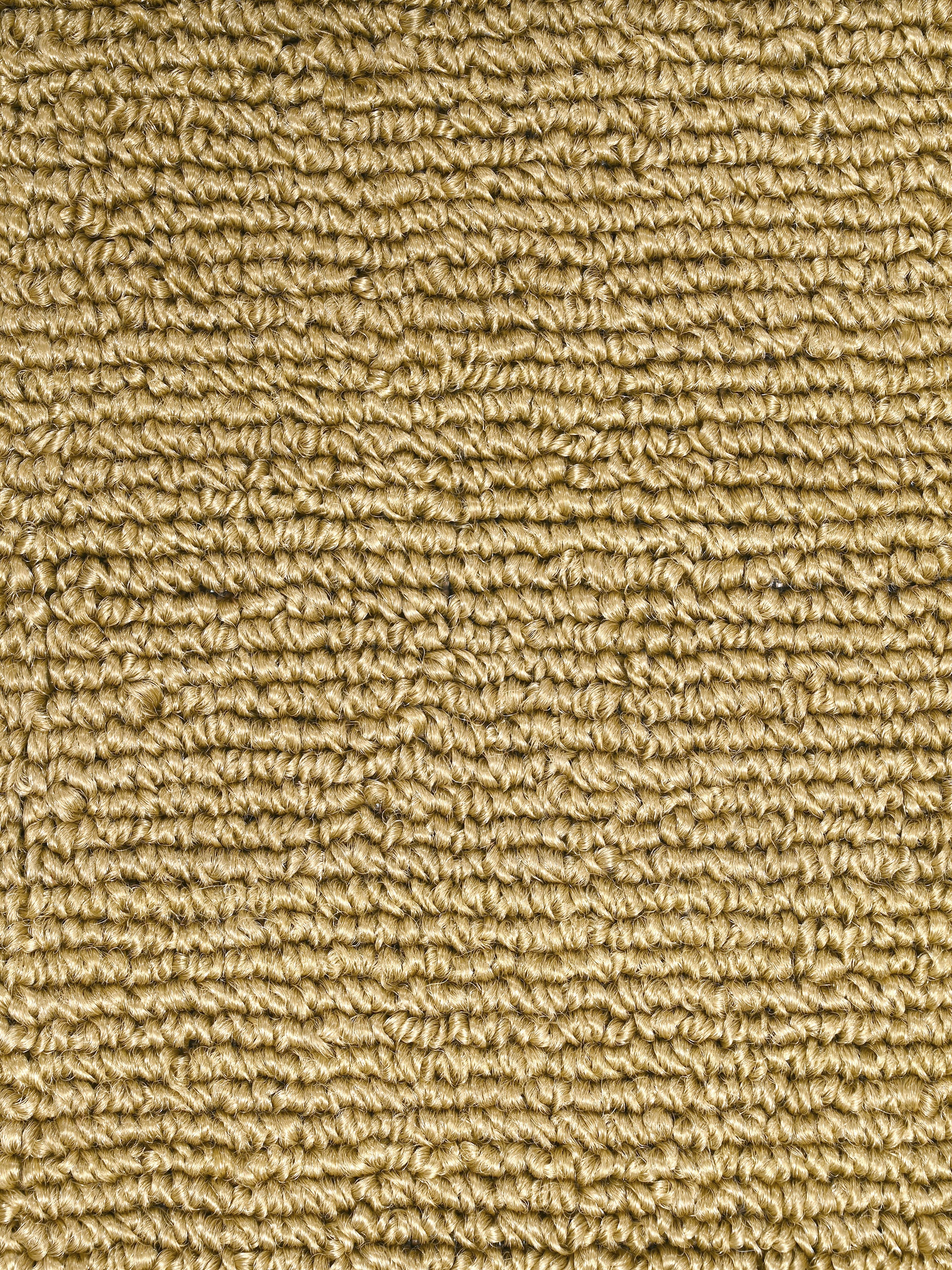 Loop Surface High Performance Anti-Skid Carpet | Durable Texture & Easy Care - Image 27